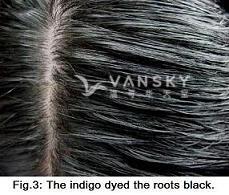 250825112055_Hair-Dyed with indigo-s.jpg
